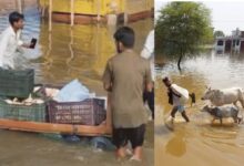 बिजली संकट के बीच नावों से पहुंच रहा भोजन
